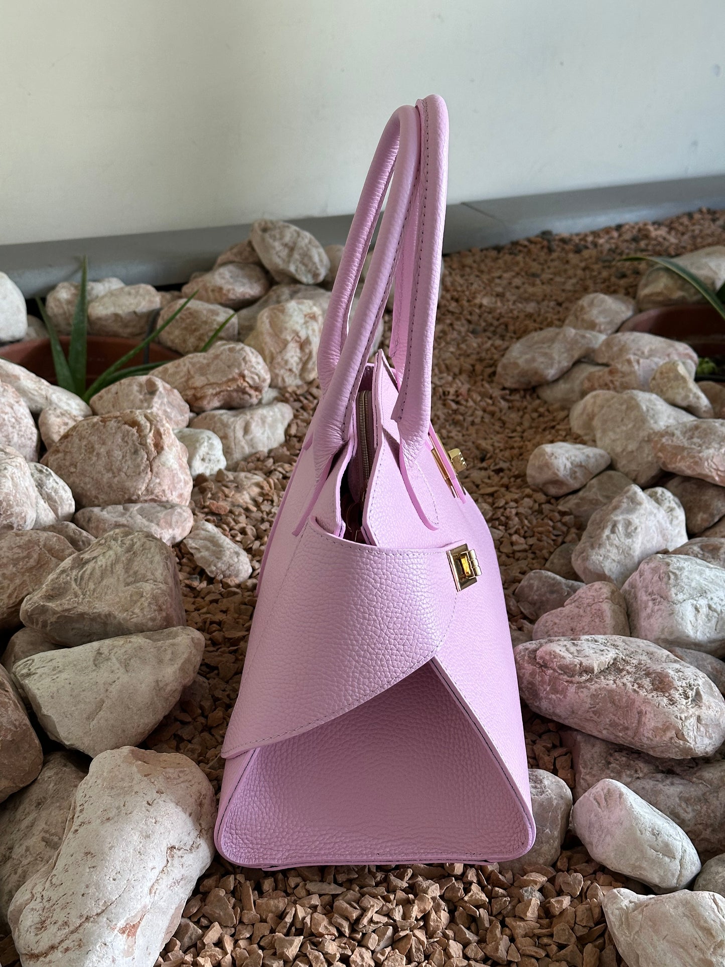 SALVIERA (ROSA B.)